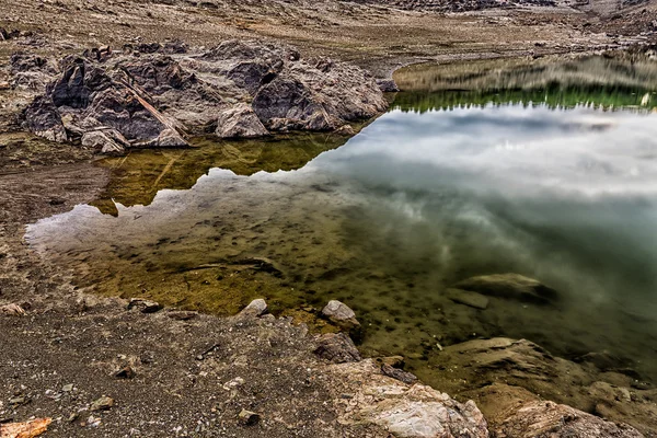 Reflejos en el pantano — Foto Stock