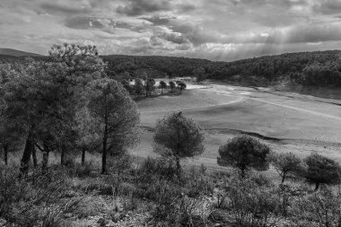Bosques de Granadilla