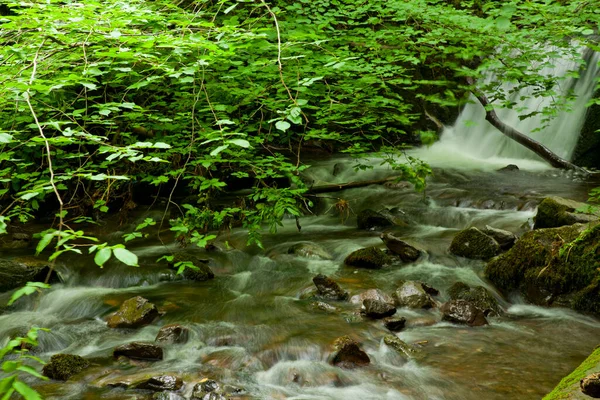 Alva Glen Skoçya Ochil Hills Eteğindeki Alva Köyünün Üzerinde Yer — Stok fotoğraf