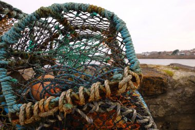 Istakoz tuzağı ya da ıstakoz tenceresi ıstakoz ya da kerevit yakalamak için kullanılan taşınabilir bir tuzaktır. İskoçya 'da (özellikle kuzeyde), Creel kelimesi ıstakoz ve diğer kabukluları yakalamak için kullanılan bir cihaz için kullanılır..