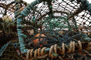 Istakoz tuzağı ya da ıstakoz tenceresi ıstakoz ya da kerevit yakalamak için kullanılan taşınabilir bir tuzaktır. İskoçya 'da (özellikle kuzeyde), Creel kelimesi ıstakoz ve diğer kabukluları yakalamak için kullanılan bir cihaz için kullanılır..