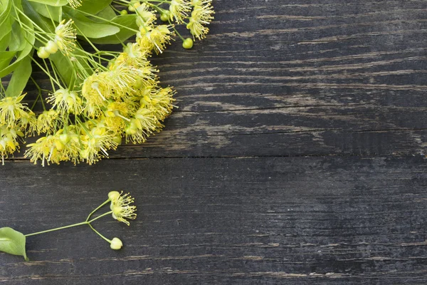 Linden.Traditional alternatif tıp