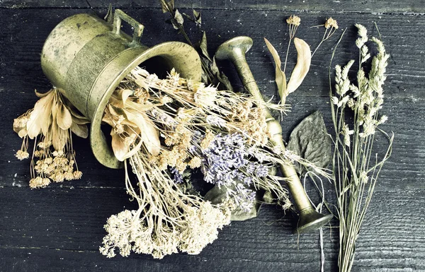 Herbs with Pestle and Mortar — Stock Photo, Image