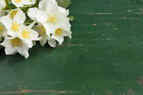 Flor blanca jazmín en mesa de madera vieja — Foto de Stock