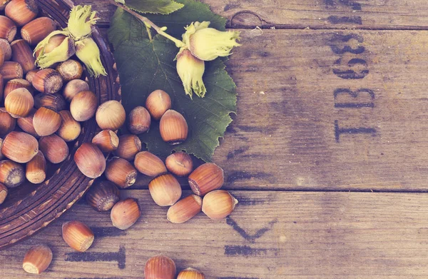 Hazelnut in bowl on wooden background — Stock Photo, Image