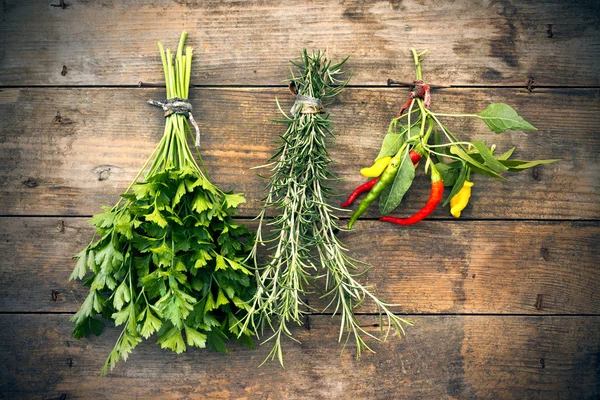 Parsley, rosemary, hot peppers,a bunch of each — Stock Photo, Image