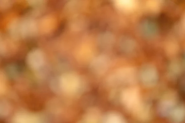 Sonbahar bulanık bokeh arka plan — Stok fotoğraf