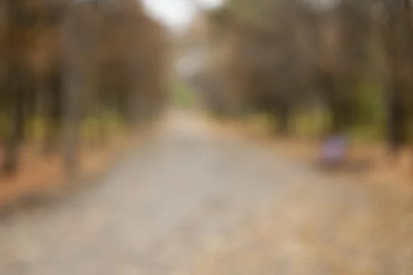 Herfst wazig bokeh achtergrond — Stockfoto