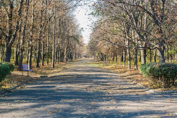 Parque de otoño en día soleado — Foto de Stock