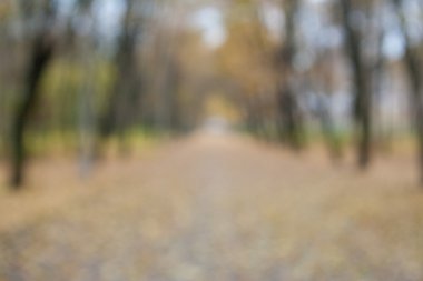 Sonbahar bulanık bokeh arka plan