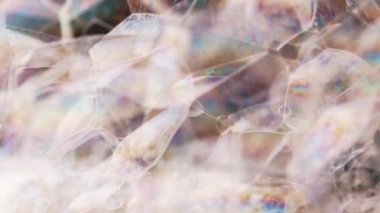 Sabun köpüğü kaybolur. Siyah arkaplanı kapat. Makro atış. Yumuşak odaklanma. Bulanık arkaplan.