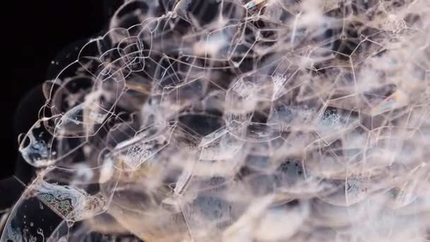 Struttura di schiuma di sapone da vicino. Macro girato su sfondo nero. — Video Stock