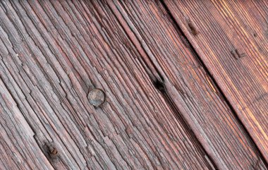 The old wood texture with nail head, bitches and cracks. Macro shot. Natural fiber pattern close up