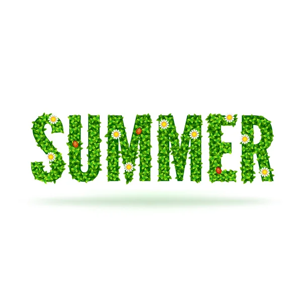 Word Summer with green leaves — Stock Vector