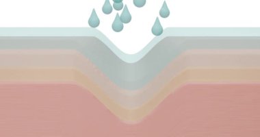 Üç boyutlu animasyon, cilt katmanlarının ve zarların anatomisinin ortografik yansımasını oluşturuyor. Krem damlaları, serum, kolajen maddeler, derinin derin katmanlarına nüfuz. Cilt sıkılaşır, düzleşmenin etkisi...