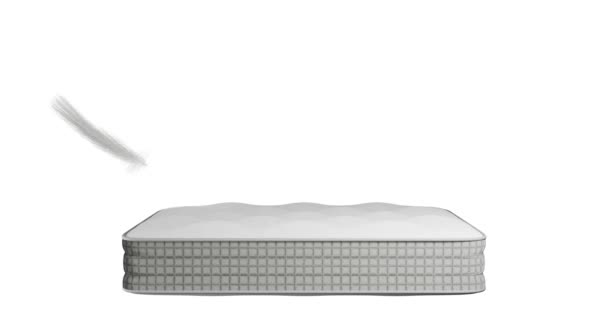 Animation Feather Falling Mattress Feather White Gray Color Easily Smoothly — Stock Video