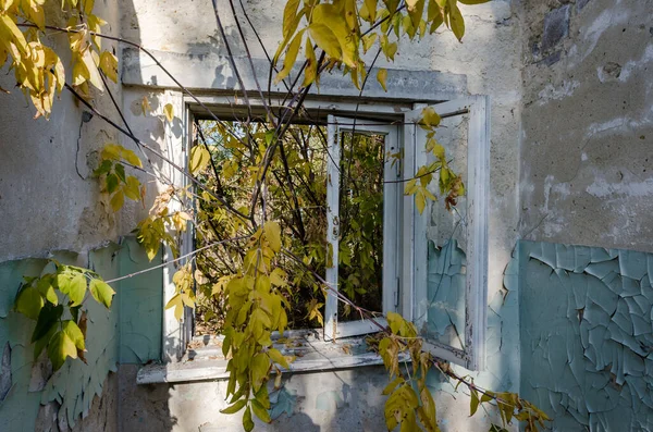 Vue Depuis Fenêtre Une Maison Abandonnée Dans Village Ukrainien Pendant — Photo