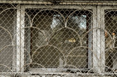 Eski bir evin parmaklıklarının olduğu pencere