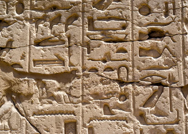 Ancient Egyptian hieroglyphs on the wall in Luxor in Egypt pattern background