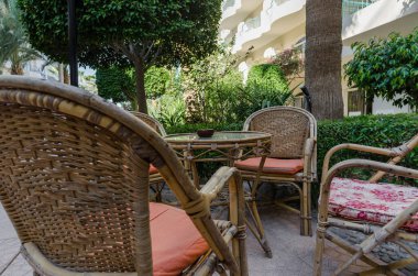 Çalıların arkasında yeşil yapraklar olan ağaç ve Mısır 'da Hurghada' da bir tatil evi.