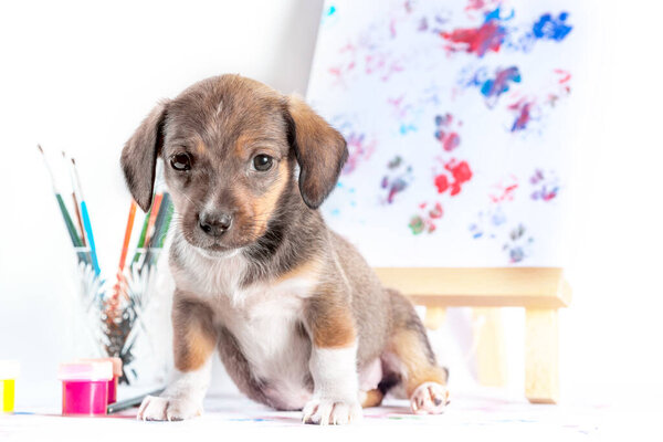 mongrel puppy with brushes, paints and easel with a picture on light background