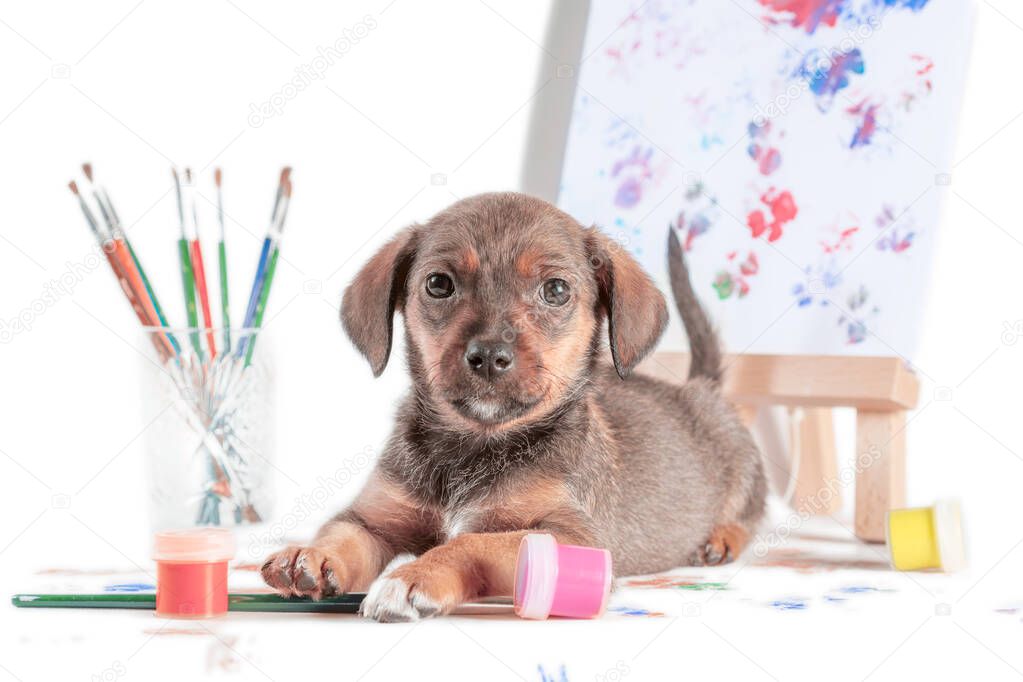 mongrel puppy with brushes, paints and easel with a picture on light background
