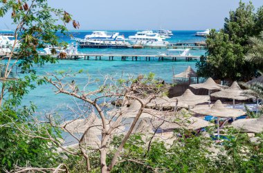 Kızıl denizin arka planında plaj şemsiyeleri ve palmiye ağaçları ve Mısır hurghada 'da gemiler.