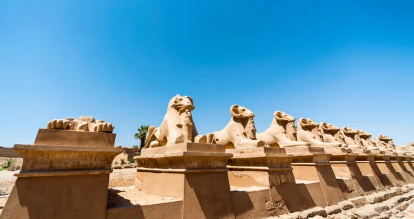 Antique statues of many sheep in the Karnak temple in Luxor in Egypt