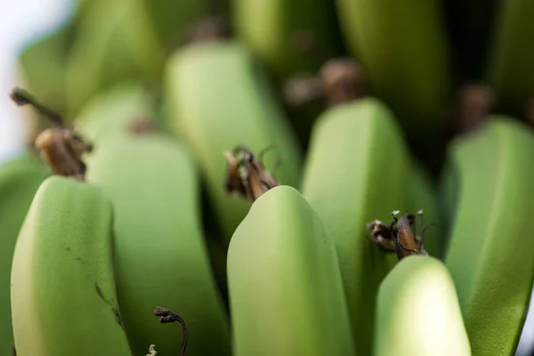 Padrão Fresco Natural Bananas Comida Fundo Close — Fotografia de Stock