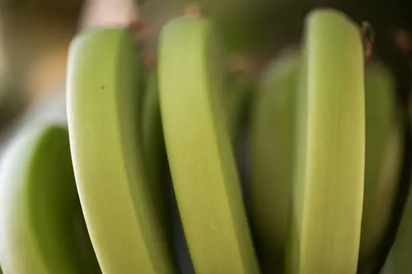 Patrón Plátanos Naturales Frescos Fondo Comida Cerca —  Fotos de Stock