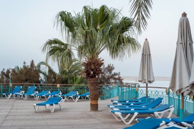 Hurghada 'da insanlar olmadan palmiye ağaçlarının altında boş plaj salonları