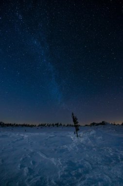 Güney Urallar Ulusal Doğa Parkı Taganay yıldızlı gece.