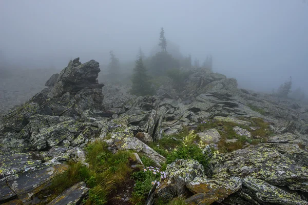 Güney Urallar, ridge Urenga sisli sabah. — Stok fotoğraf