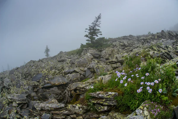 Matin brumeux dans le sud de l'Oural, crête Urenga . — Photo