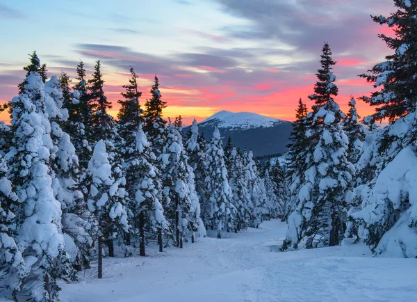 Noite de inverno e um pôr-do-sol ardente . Imagem De Stock