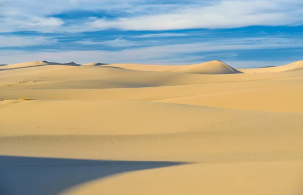 Mongolia. Sands Hongoryn ELS. Dunes — Stock Photo, Image