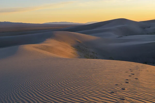 Mongolia. Sands Hongoryn ELS. Dunes — Stock Photo, Image