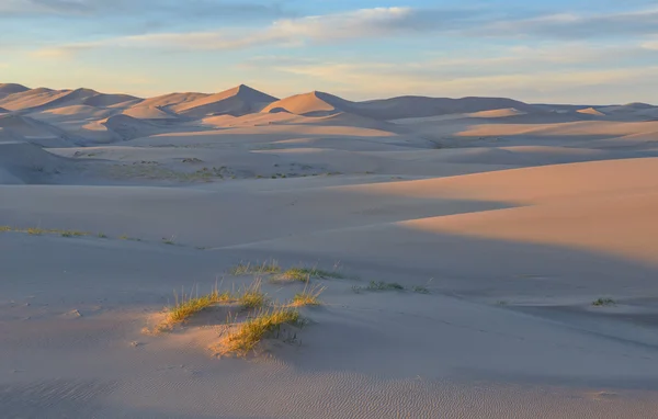 Mongolia. Sands Hongoryn ELS. Dunas — Foto de Stock
