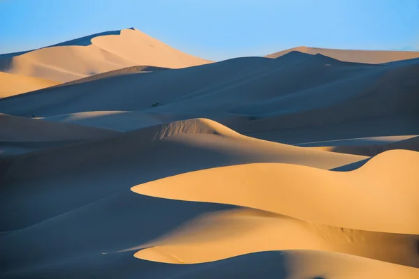 Mongolia. Sands Hongoryn ELS — Stock Photo, Image