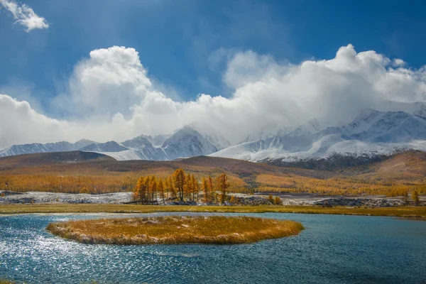 Az Altaj arany ősz — Stock Fotó