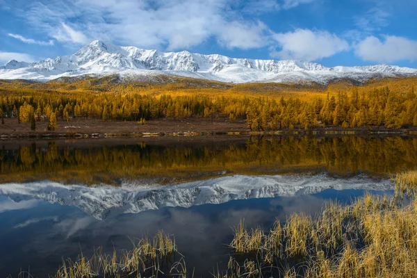 Gyllene höst i Altai — Stockfoto