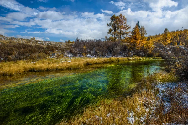 Золота осінь у Алтай, звиваючись водоростей — стокове фото