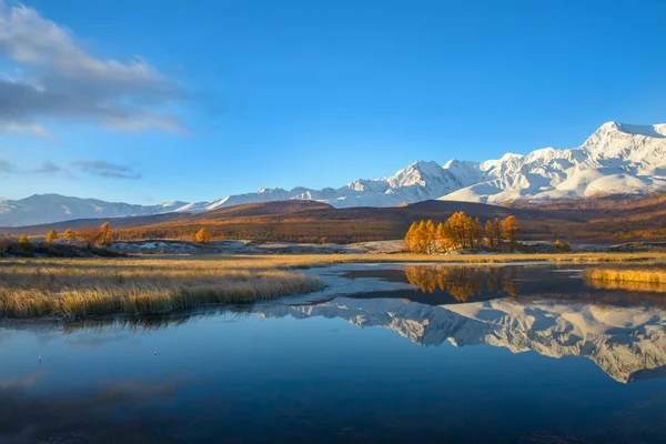 Golden autumn in Altai — Stock Photo, Image