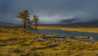 Bir kar fırtınası daha önce. Altay altın sonbahar.