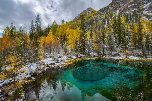 Kék tavaszi tó arany ősz Altaj, Aktash régió. — Stock Fotó