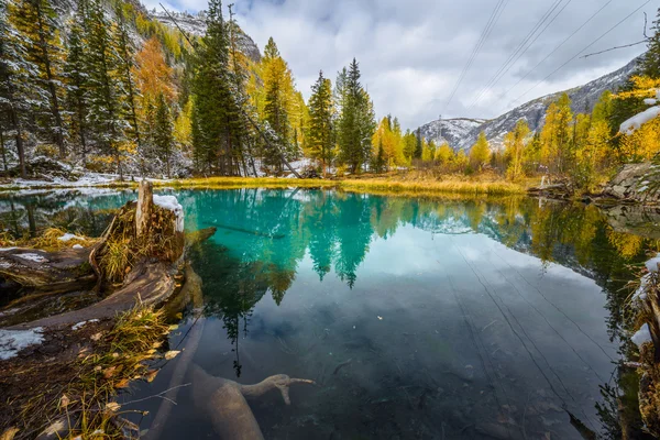 Blue spring lake Golden autumn in Altai, Aktash region. — Stock Image Blue spring lake Golden autumn in Altai, Aktash region. Royalty Free Stock Photos