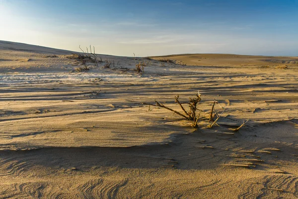 Dunas de arena, dunas, arena en las estribaciones de Tien-Shan, Kazajstán, región de Almaty — Foto de Stock