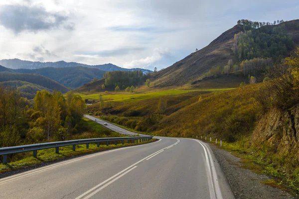 Golden autumn in Altai