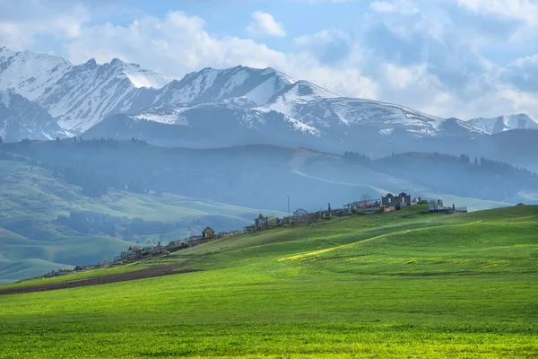 Cimetière musulman dans le champ de colza sur fond de montagnes majestueuses — Photo