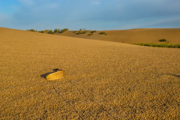 Desert with sand dunes. — Stock Photo, Image